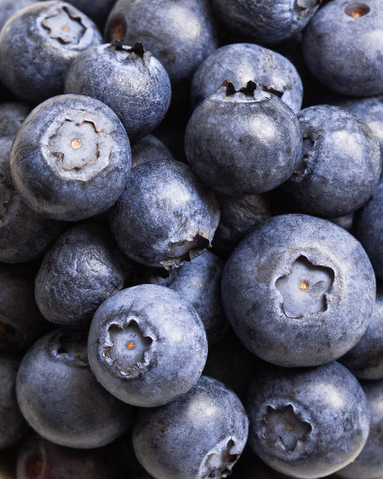 Photographie de reportage